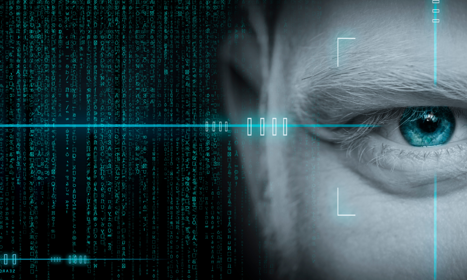 Home Association of Document Validation Professionals